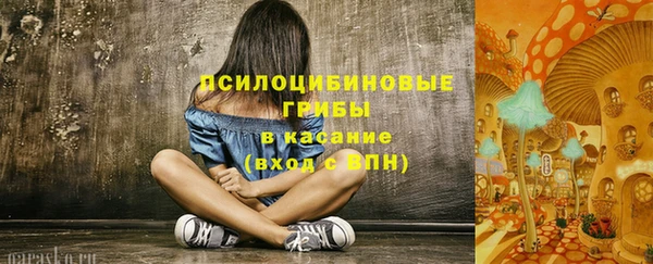 прущая мука Медвежьегорск