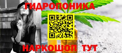 спайс Берёзовский