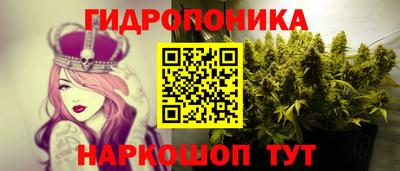 спайс Берёзовский