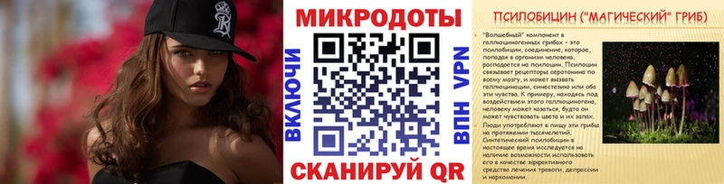 купить наркотик  гидра tor  Галлюциногенные грибы Psilocybe  Железногорск 