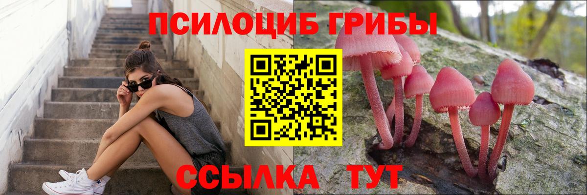 Псилоцибиновые грибы GOLDEN TEACHER  Вход с VPN  Железногорск 