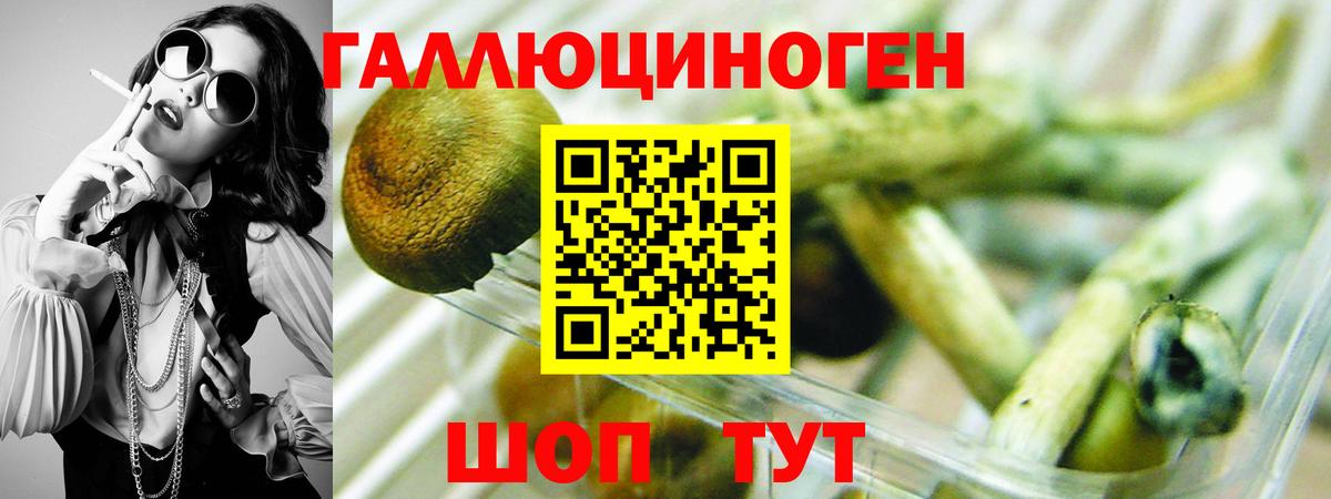Псилоцибиновые грибы мицелий Железногорск